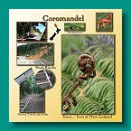 28 Coromandel